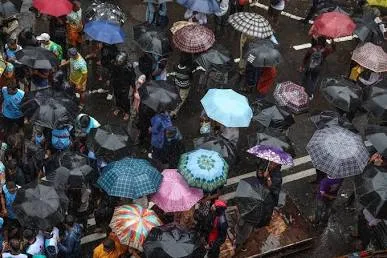महाराष्ट्रात पावसाचा जोर वाढला; मुंबई, ठाण्यासह अनेक जिल्ह्यांना 'ऑरेंज अलर्ट'