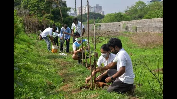 राज्यात 'ग्रीन महाराष्ट्र' अंतर्गत भव्य वृक्षारोपण मोहिमेला सुरुवात